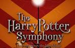 2 tickets The Music of Harry Potter Live, 1e rangs, vooraan!, Tickets en Kaartjes, Twee personen