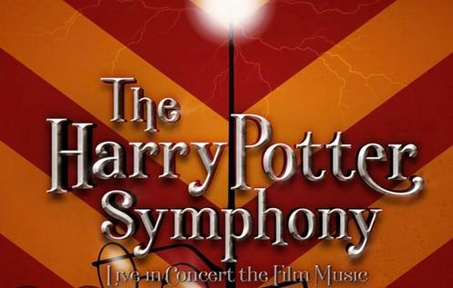 2 tickets The Music of Harry Potter Live, 1e rangs, vooraan!, Tickets en Kaartjes, Evenementen en Festivals, Twee personen