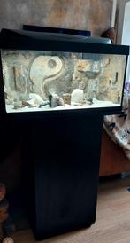 Aquarium met handgemaakte 3d achterwand, Ophalen