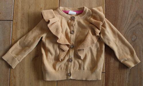 Vestje van Hema 74, Kinderen en Baby's, Babykleding | Maat 74, Gebruikt, Meisje, Truitje of Vestje, Ophalen of Verzenden