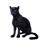 Exclusief bij ons te koop: Opgezette zwarte poema., Ophalen of Verzenden, Nieuw, Wild dier, Opgezet dier