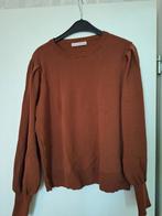 Trui Studio Anneloes XL, Bruin, Maat 46/48 (XL) of groter, Ophalen of Verzenden, Zo goed als nieuw