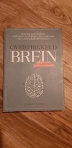 Overprikkeld Brein, Boeken, Ophalen of Verzenden, Gelezen, Cognitieve psychologie, Charlotte Labee