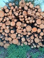 veluws hout € 100 per stere, Tuin en Terras, Haardhout, Minder dan 3 m³, Ophalen, Eikenhout, Stammen