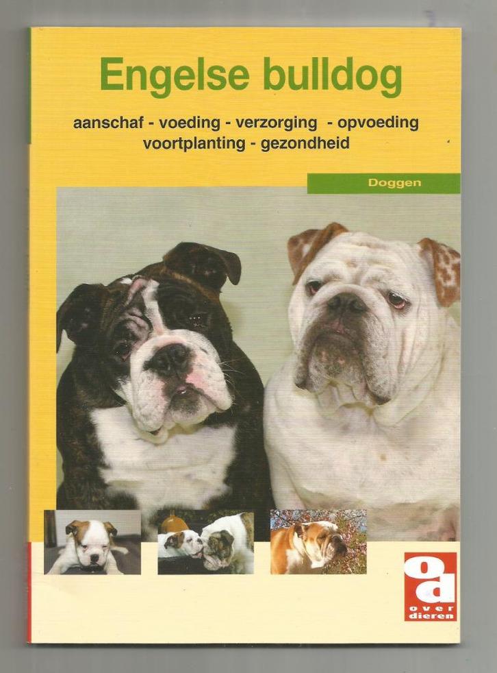 Engelse Bulldog - Rob Dekker e.a., Boeken, Dieren en Huisdieren, Nieuw, Honden, Ophalen of Verzenden