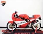 DUCATI 900 SUPERSPORT - org.NL - UNIEK - 2e eigenaar -, Motoren, DUCATI, 2 cilinders, Motorrijbewijs A, Bedrijf