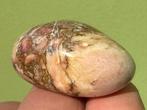 Roze Maligano Jaspis uit Indonesië edelsteen broekzaksteen 4, Ophalen of Verzenden, Mineraal