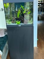 Compleet aquarium, Ophalen, Zo goed als nieuw, Gevuld zoetwateraquarium