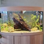 Juwel vision 180, Ophalen, Zo goed als nieuw, Leeg aquarium