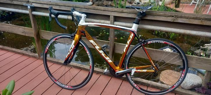 Fuji Gold Special Edition Carbon Racefiets, Fietsen en Brommers, Fietsen | Racefietsen, Zo goed als nieuw, Heren, Overige merken