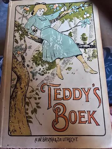 Teddy's Boek - Anna Chapin Ray - A.W. Bruna beschikbaar voor biedingen