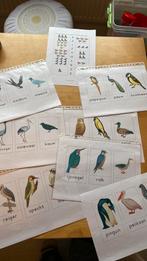 Kleuterklas vogelplaatjes met naam en werkje, Verzenden, Nederland