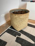Bamboe plantenbak, Tuin en Terras, Bloembakken en Plantenbakken, Ophalen of Verzenden, Rond, Minder dan 60 cm, 30 tot 60 cm