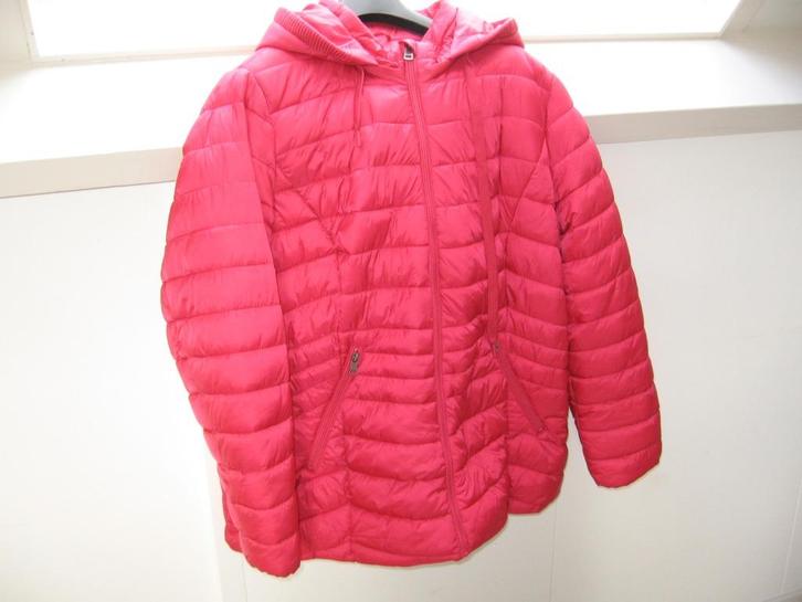 zgan fleurig winter jas jack 54 MS MODE €25.- m muts zakken., Kleding | Dames, Grote Maten, Nieuw, Jas of Mantel, Roze, Ophalen of Verzenden