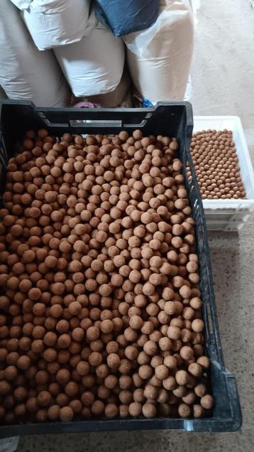 krill mossel premium boilie s 🦐🦐🦐🐚🐚🐚🐚 beschikbaar voor biedingen