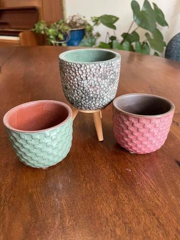 Mini bloempotjes groen en roze beschikbaar voor biedingen