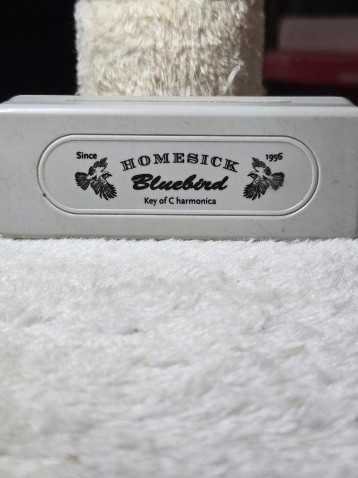Homesick Bluebird C-Mondharmonica met Doos, Verzamelen, Muziek, Artiesten en Beroemdheden, Zo goed als nieuw, Ophalen of Verzenden