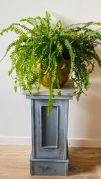 Zuil / plantentafeltje hout, Huis en Inrichting, Woonaccessoires | Zuilen en Pilaren, Ophalen, Zo goed als nieuw