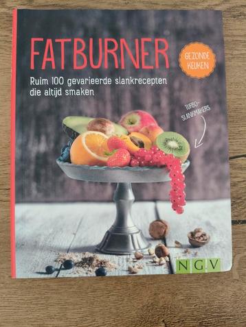 Fatburner- ruim 100 gevarieerde slank recepten  beschikbaar voor biedingen