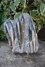 1. Orthoceras fossiel plaat uit Marokko, Ophalen of Verzenden, Fossiel