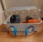 Ferplast hamsterkooien, Dieren en Toebehoren, Ophalen, Zo goed als nieuw, Kooi, Minder dan 60 cm