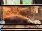 Te koop: Terrarium met 3d (rots) achterwand, Dieren en Toebehoren, Reptielen en Amfibieën | Toebehoren, Ophalen, Gebruikt, Terrarium of Paludarium