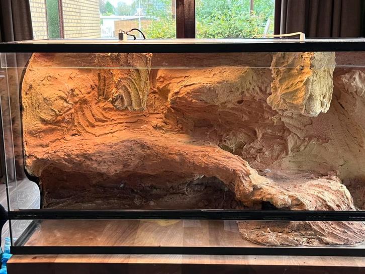 Te koop: Terrarium met 3d (rots) achterwand, Dieren en Toebehoren, Reptielen en Amfibieën | Toebehoren, Gebruikt, Terrarium of Paludarium