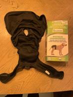 Hond loopsheidbroekje L, Dieren en Toebehoren, Honden-accessoires, Ophalen of Verzenden, Zo goed als nieuw
