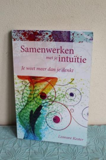Samenwerken met je intuitie beschikbaar voor biedingen