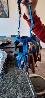 Te koop een soort halster voor hond maat l, Ophalen of Verzenden, Nieuw