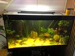 Dennerle Trocal Led. Verlichtings set voor aquarium, Dieren en Toebehoren, Vissen | Aquaria en Toebehoren, Ophalen, Zo goed als nieuw