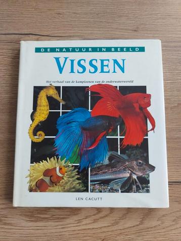 Cacutt - Vissen beschikbaar voor biedingen