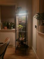 Ikea RUDSTA vitrinekast met verlichting, Ophalen, Minder dan 50 cm, Glas, Modern
