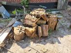 Gratis haardhout! Boomstammen ongekloofd hardhout, Minder dan 3 m³, Ophalen of Verzenden, Overige houtsoorten, Blokken