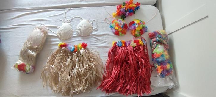 Carnavalskleding dames Hawai, Kleding | Dames, Carnavalskleding en Feestkleding, Nieuw, Kleding, Carnaval, Ophalen of Verzenden