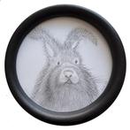 schilderijen verzameld Konijnen, Minder dan 50 cm, Ophalen of Verzenden, Zo goed als nieuw, Schilderij