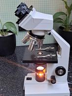 Professionele Binoculaire Microscoop 40-1000x, Ophalen of Verzenden, Zo goed als nieuw, 1000x of meer, Biologische microscoop