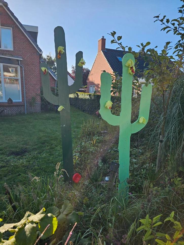 40 Houten Cactussen Mexico thema, Tuin en Terras, Tuinbeelden, Gebruikt, Overige typen, Hout, Ophalen