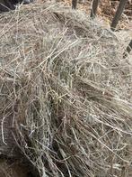 Midi balen paarden voer, Ophalen of Verzenden, Vee