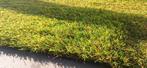 Mooi kunstgras - Perfect voor tuin of balkon!, Tuin en Terras, Gras en Kunstgras, Ophalen of Verzenden, Nieuw, 10 tot 20 m², Kunstgras