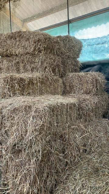 Mulch hooi beschikbaar voor biedingen