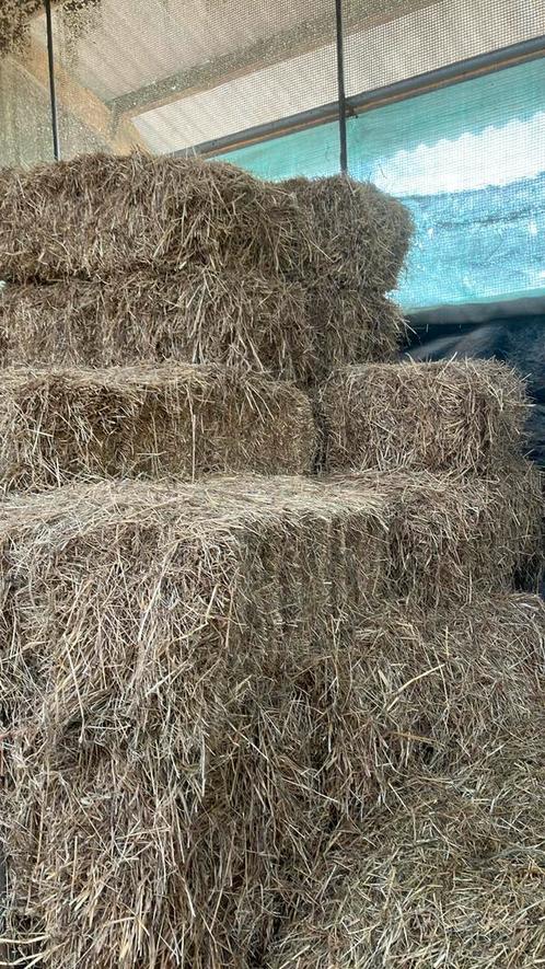 Mulch hooi, Tuin en Terras, Aarde en Mest, Overige typen, Ophalen of Verzenden