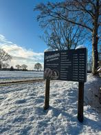 Varkensvlees, Dieren en Toebehoren, Schapen, Geiten en Varkens, Geslacht onbekend, Varken, 0 tot 2 jaar