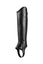 Ariat Concord chaps, Dieren en Toebehoren, Paardrijkleding, Nieuw, Schoeisel, Ophalen of Verzenden