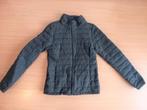 Gewatteerde winterjas America today XS, Ophalen of Verzenden, Zo goed als nieuw, Maat 34 (XS) of kleiner, Grijs