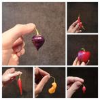 Peper zaden pakket - 18 soorten - 10 zaden per soort, Ophalen of Verzenden, Gehele jaar, Volle zon, Zaad