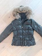 Leren jas van Peuterey maat M, Ophalen of Verzenden, Zo goed als nieuw, Maat 42/44 (L), Zwart