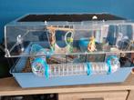 Ferplast Duna fun large, Kooi, Gebruikt, Minder dan 75 cm, Hamster