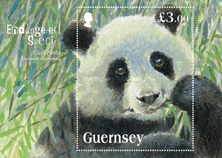 GUERNSEY 4 - Dieren: zoogdieren (panda), Postzegels en Munten, Postzegels | Thematische zegels, Postfris, Dier of Natuur, Ophalen of Verzenden