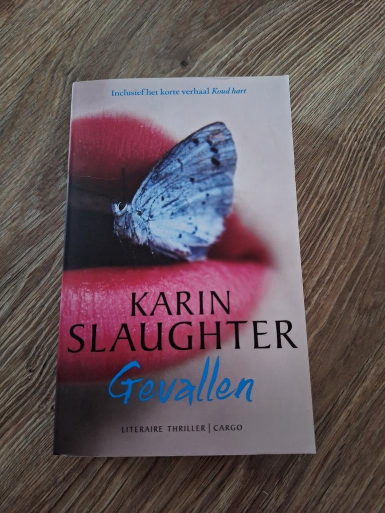 Karin Slaughter - Gevallen, Ophalen of Verzenden, Zo goed als nieuw, Karin Slaughter
